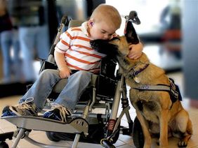 Un enfant et un chien