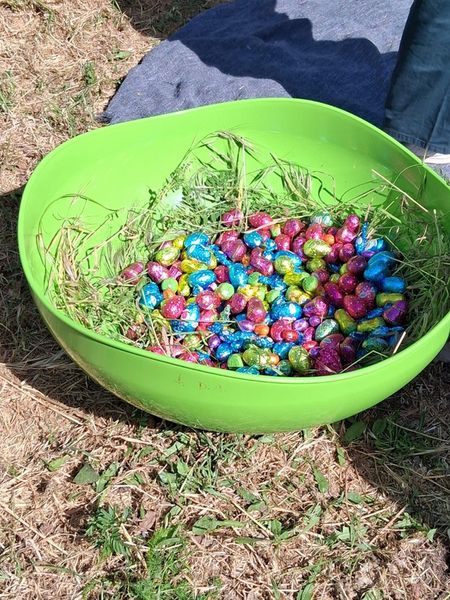 Chasse aux œufs du 29/04/2026